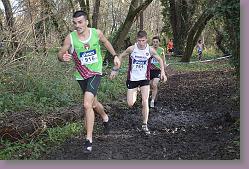 Begles 15.12.13 01 1050 * 679 x 453 * (188KB)